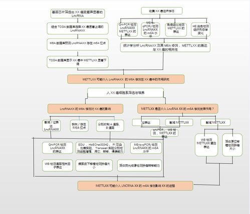 23个可编辑技术路线图模板与绘制技巧: 涵盖国自然9大热点技术路线及货物技术进出口业务指导