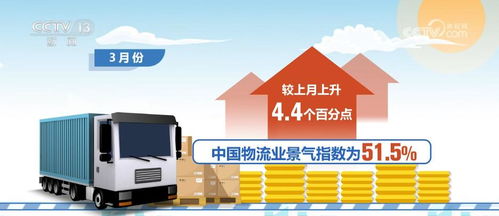 知天下 货物及技术进出口业务概览与战略解析